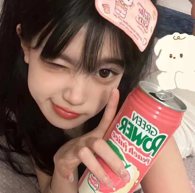 焦头烂鹅